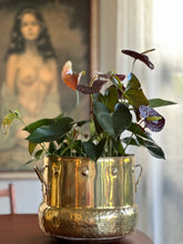 Load image into Gallery viewer, Large Brass Pot