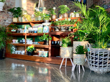 Load image into Gallery viewer, Display counter / large bookcase / kitchen counter