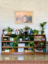 Load image into Gallery viewer, Display counter / large bookcase / kitchen counter