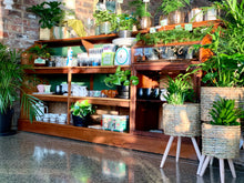 Load image into Gallery viewer, Display counter / large bookcase / kitchen counter