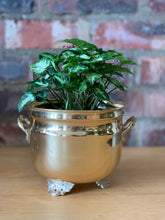 Load image into Gallery viewer, Vintage Brass Pots