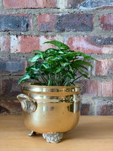 Load image into Gallery viewer, Vintage Brass Pots