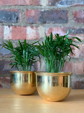 Load image into Gallery viewer, Vintage Brass Pots