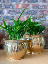 Load image into Gallery viewer, Vintage Brass Pots
