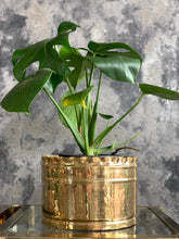 Load image into Gallery viewer, Vintage Brass Planters