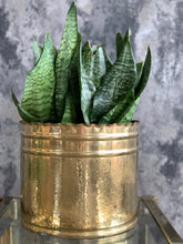 Load image into Gallery viewer, Vintage Brass Planters