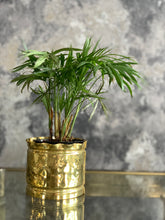 Load image into Gallery viewer, Vintage Brass Planters