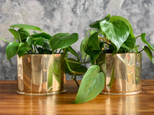 Load image into Gallery viewer, Vintage Brass Planters