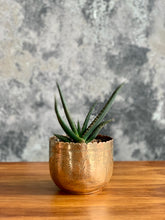 Load image into Gallery viewer, Vintage Brass Planters