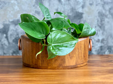 Load image into Gallery viewer, Vintage Wooden Bowl