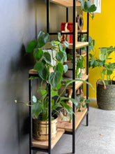 Load image into Gallery viewer, Steel & Wood Shelving Unit