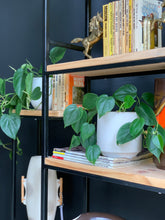 Load image into Gallery viewer, Steel & Wood Shelving Unit