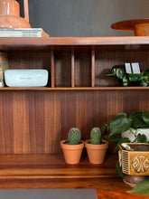 Load image into Gallery viewer, Mid-Century Artecasa Multipurpose Cabinet