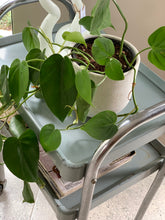 Load image into Gallery viewer, Vintage Worksman Trolley