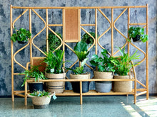 Load image into Gallery viewer, Cane room divider / plant stand