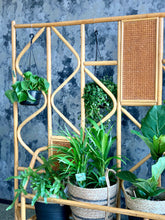 Load image into Gallery viewer, Cane room divider / plant stand