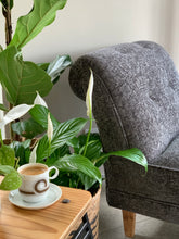 Load image into Gallery viewer, Mid-Century Chaise/Daybed