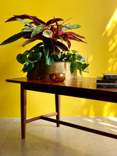 Load image into Gallery viewer, DS Vorster Coffee Table