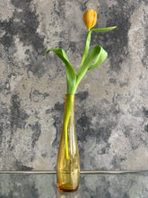 Load image into Gallery viewer, Glass Vases