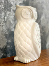 Load image into Gallery viewer, Retro Owl Ornament