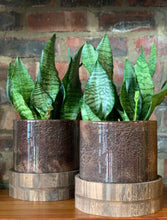 Load image into Gallery viewer, Glass & Wooden Base Planter