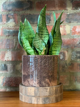 Load image into Gallery viewer, Glass & Wooden Base Planter