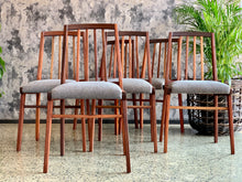 Load image into Gallery viewer, Mid-Century set of 6 mahogany dining chairs