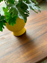 Load image into Gallery viewer, Round Imbuia dining table