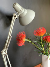 Load image into Gallery viewer, Anglepoise Desk Lamp