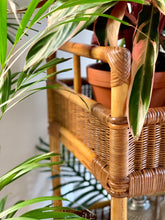 Load image into Gallery viewer, Vintage Two Tier Cane Caddy