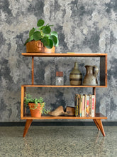 Load image into Gallery viewer, Retro bookshelf