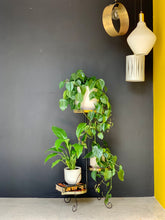 Load image into Gallery viewer, Retro Three-Tiered Plant Stand