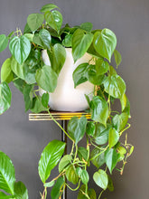 Load image into Gallery viewer, Retro Three-Tiered Plant Stand