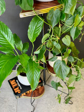 Load image into Gallery viewer, Retro Three-Tiered Plant Stand