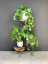 Load image into Gallery viewer, Retro Three-Tiered Plant Stand