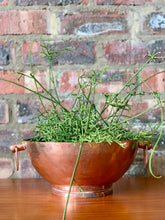 Load image into Gallery viewer, Vintage Copper Bowls