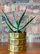 Load image into Gallery viewer, Vintage Brass Planters