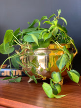 Load image into Gallery viewer, Vintage Solid Brass Planters