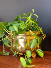 Load image into Gallery viewer, Vintage Solid Brass Planters
