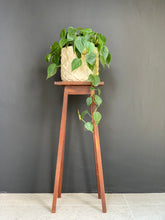 Load image into Gallery viewer, Wooden Plant Stands