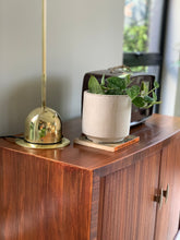Load image into Gallery viewer, Mid-Century Record Cabinet