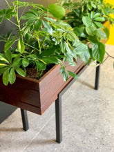 Load image into Gallery viewer, Wooden Plant Stands