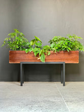Load image into Gallery viewer, Wooden Plant Stands
