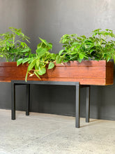 Load image into Gallery viewer, Wooden Plant Stands