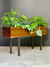Load image into Gallery viewer, Wooden Plant Stands