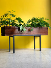 Load image into Gallery viewer, Wooden Plant Stands