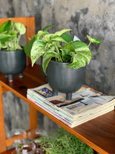 Load image into Gallery viewer, Mid-Century Wall Unit / Shelf