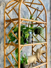 Load image into Gallery viewer, Vintage Arched Cane Unit