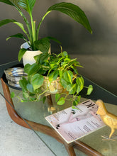 Load image into Gallery viewer, Mid-Century Coffee Table & Glass Top