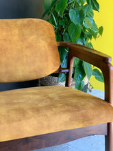 Load image into Gallery viewer, Mid-Century Imbuia Armchair